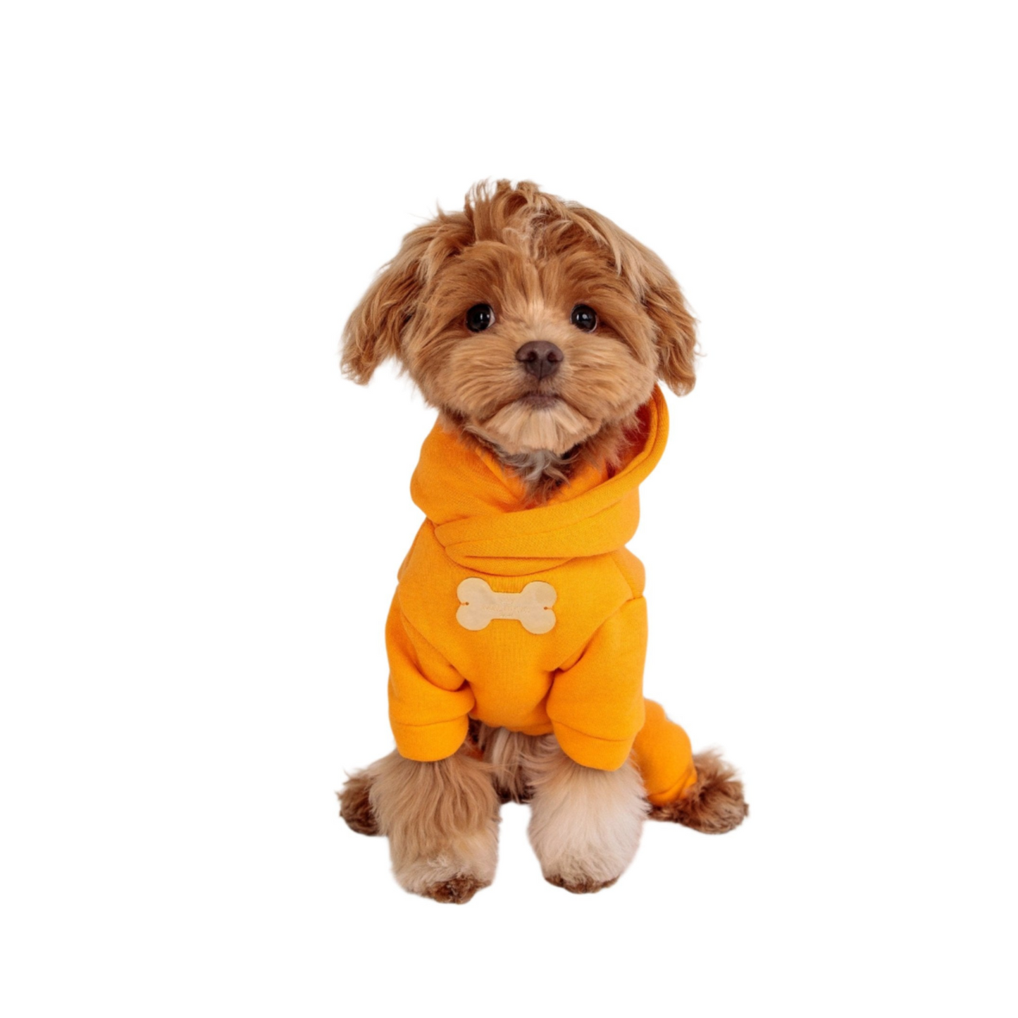 Maltipoo World 4 Paws Hoodie, Orange