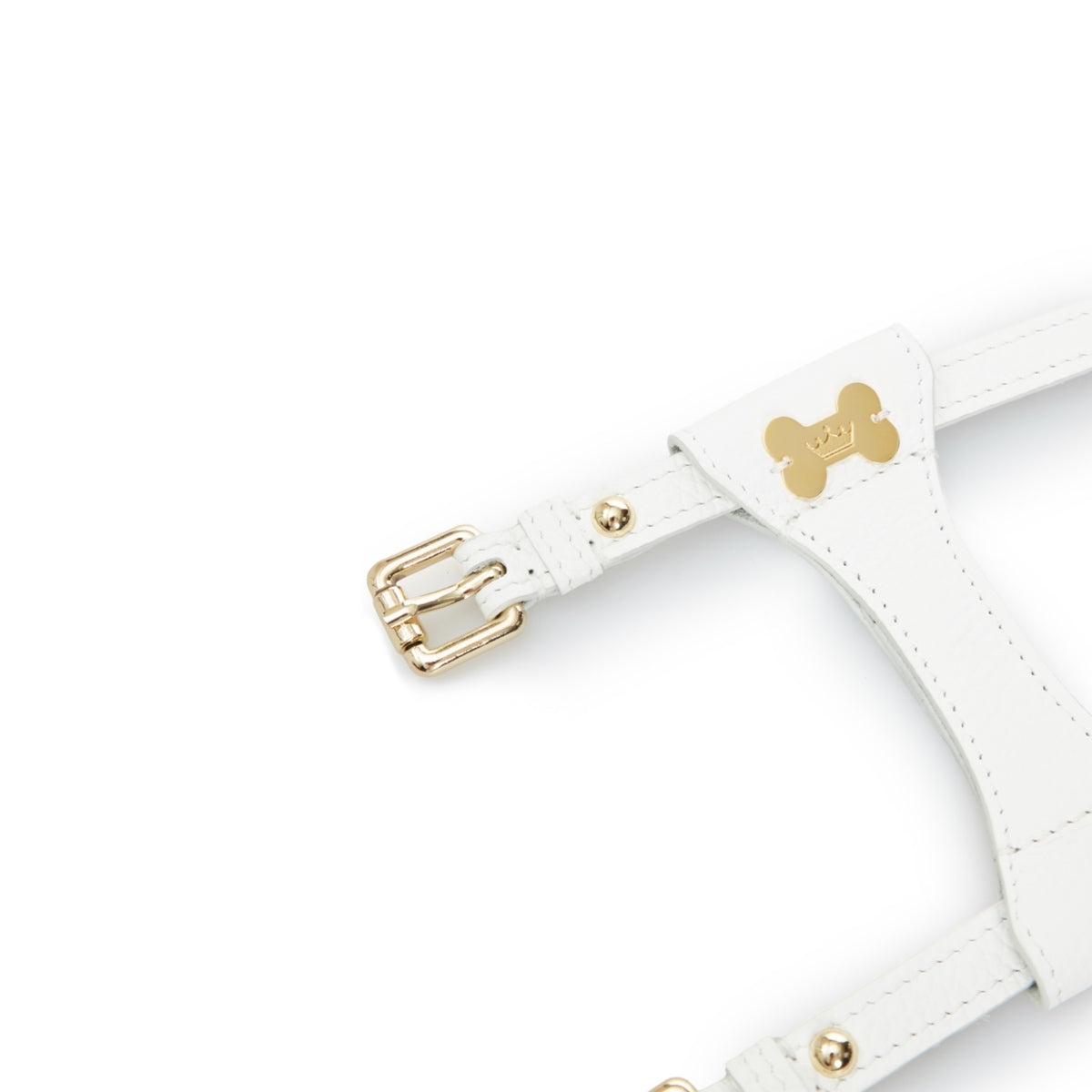 Maltipoo World Dot Leather Harness, White