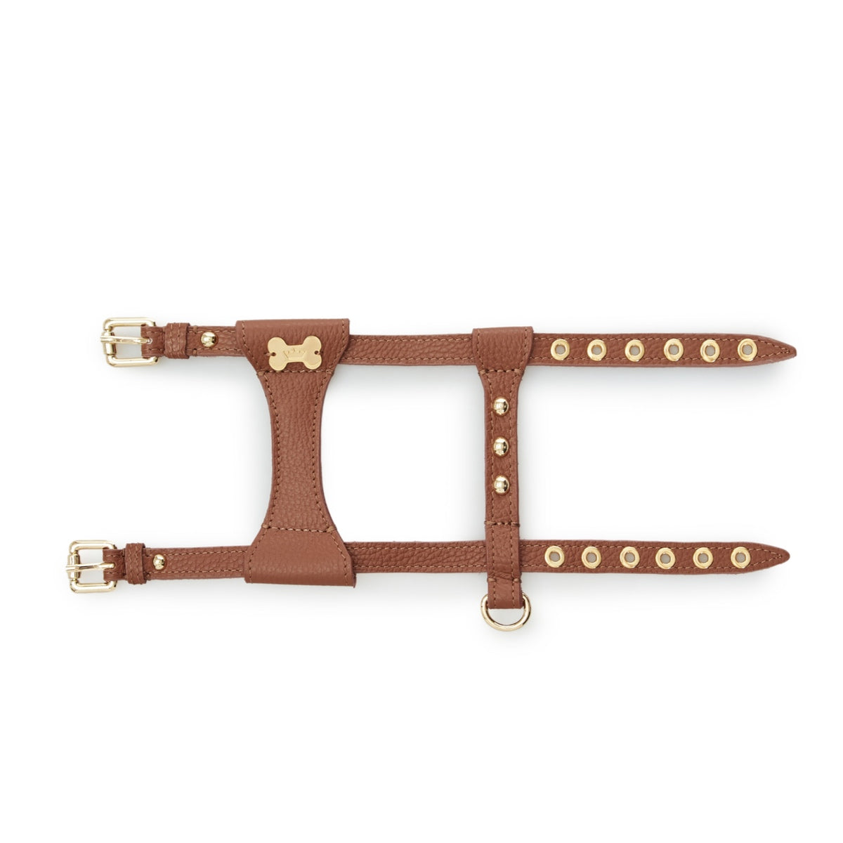 Maltipoo World Dot Leather Harness, Brown