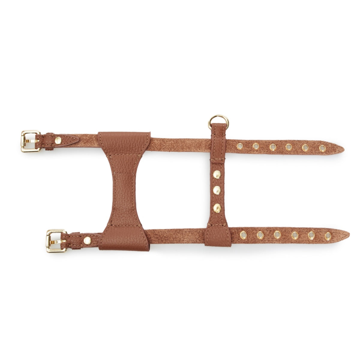 Maltipoo World Dot Leather Harness, Brown