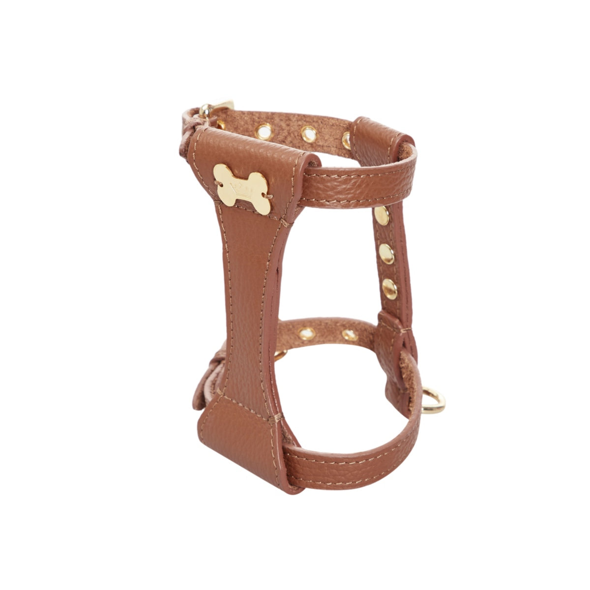 Maltipoo World Dot Leather Harness, Brown