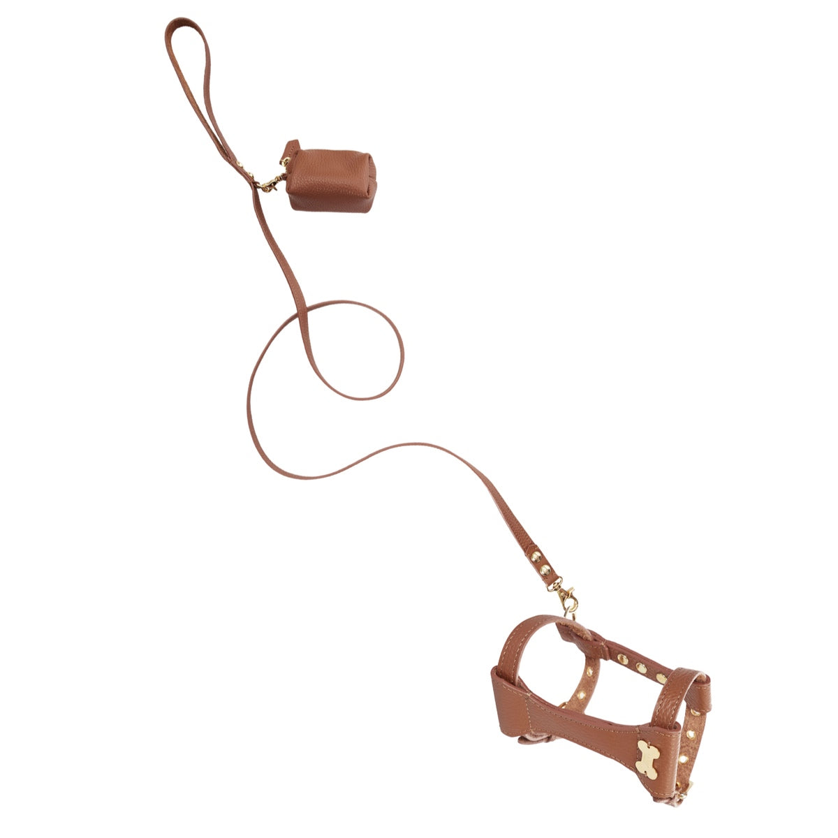 Maltipoo World Dot Leather Harness, Brown
