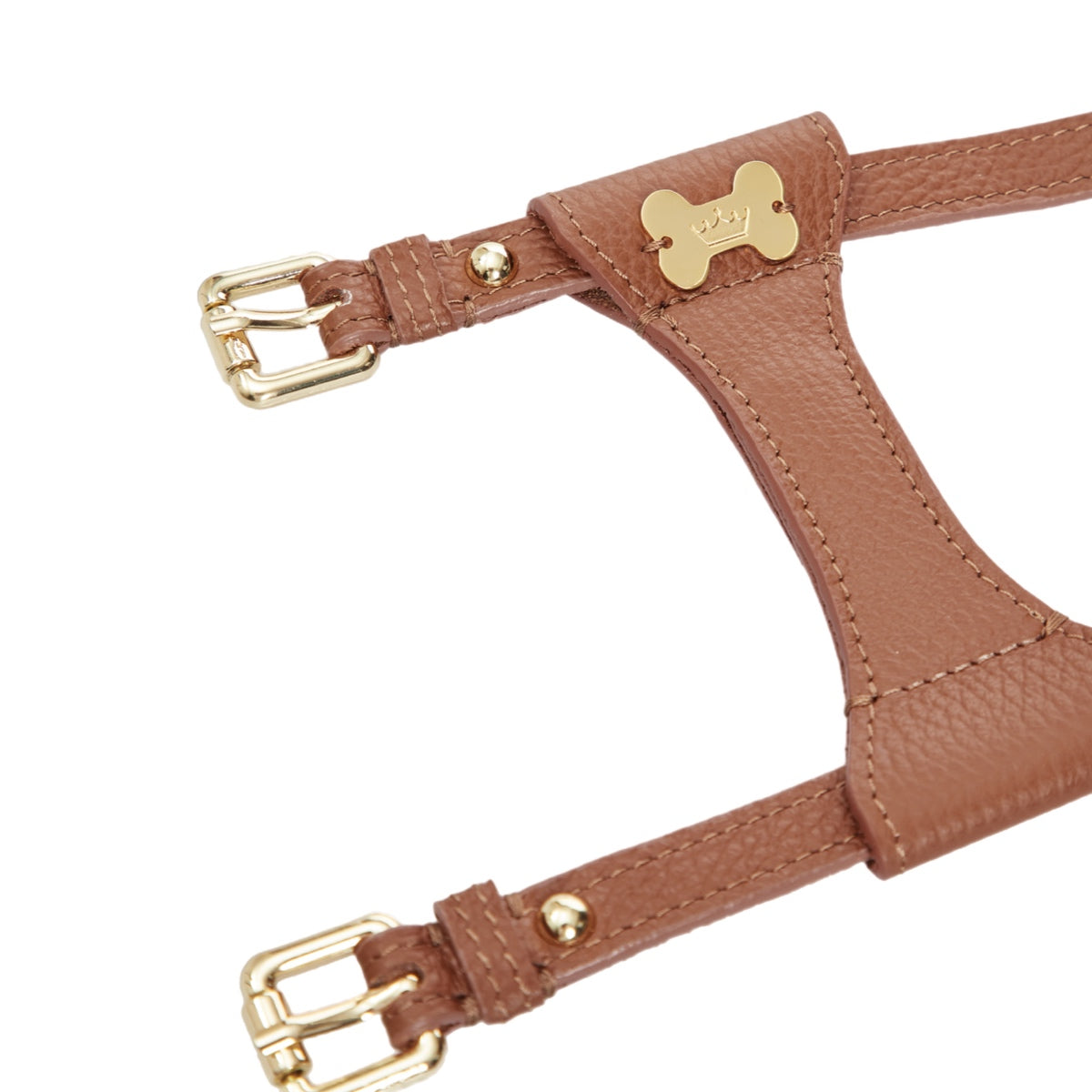 Maltipoo World Dot Leather Harness, Brown