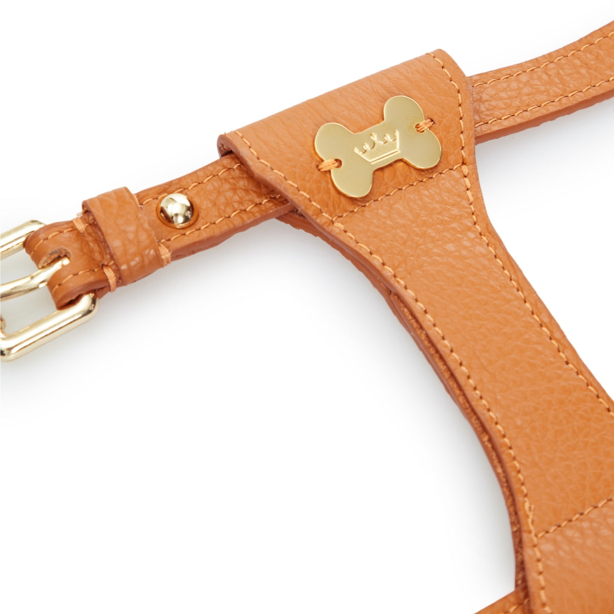 Maltipoo World Dot Leather Harness, Orange