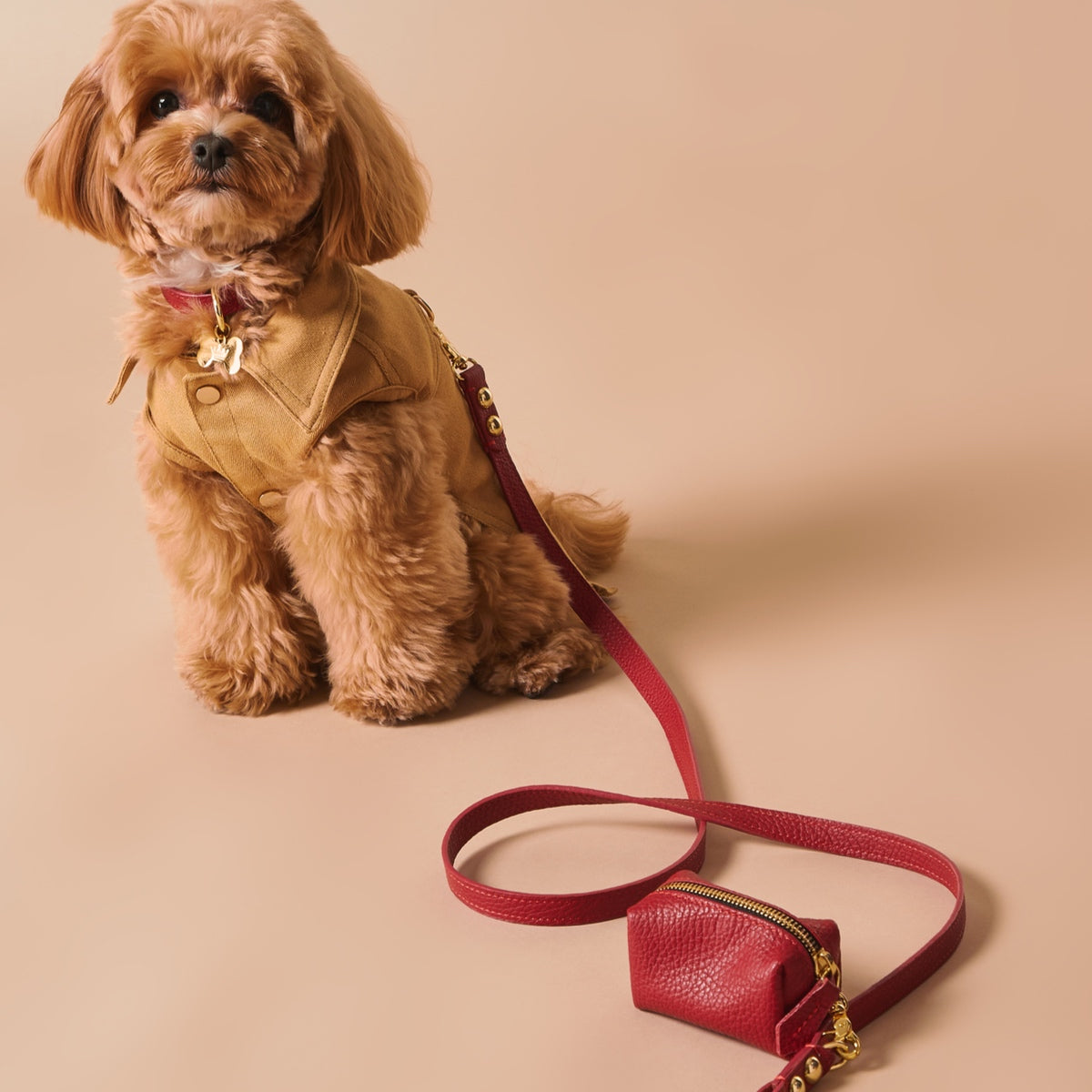 Maltipoo World Cotton Vest, Beige