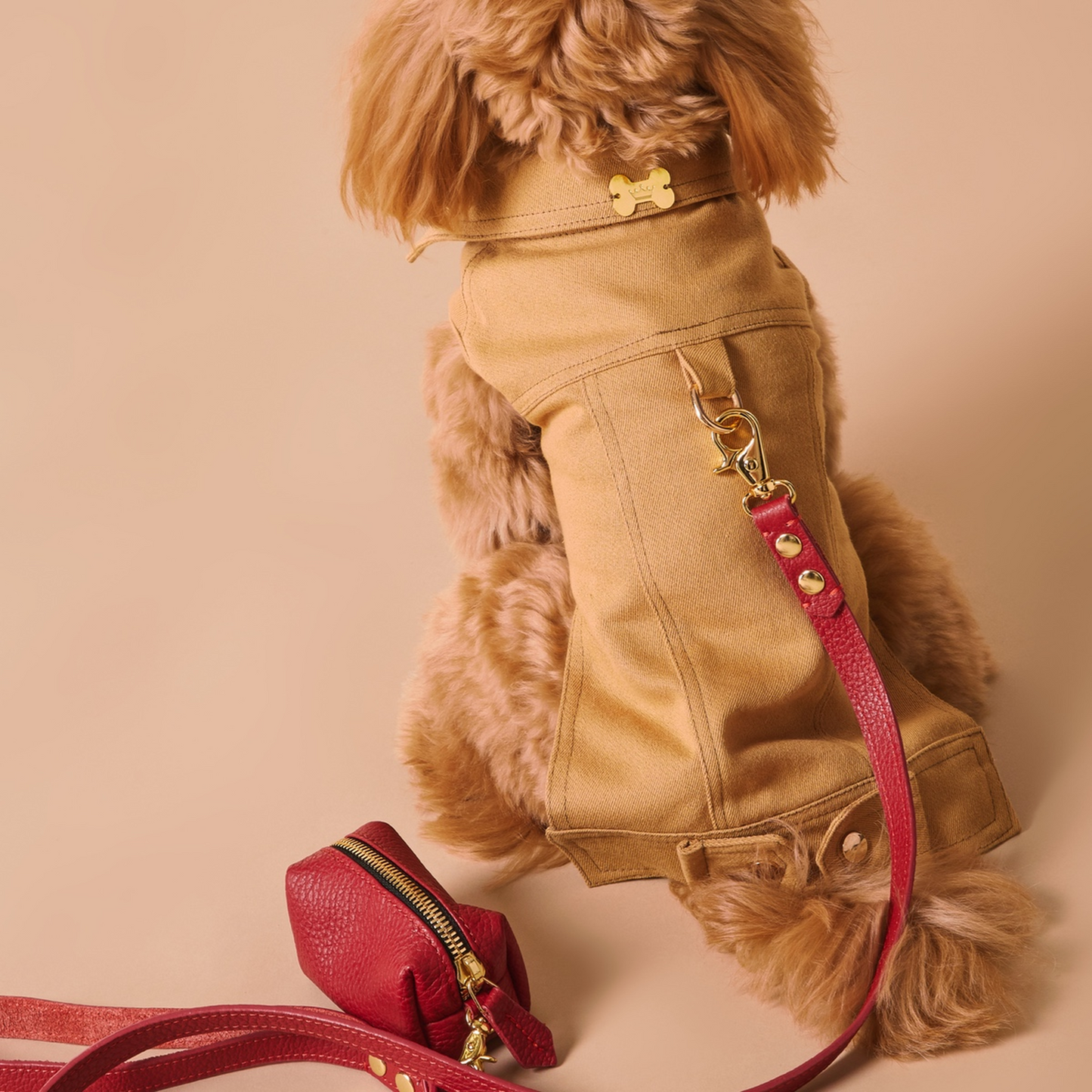 Maltipoo World Cotton Vest, Beige