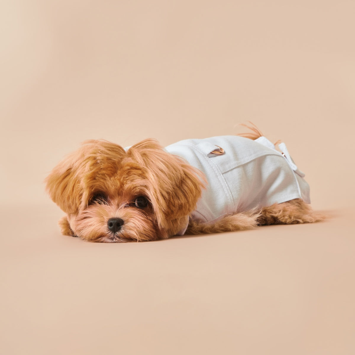 Maltipoo World Cotton Vest, White