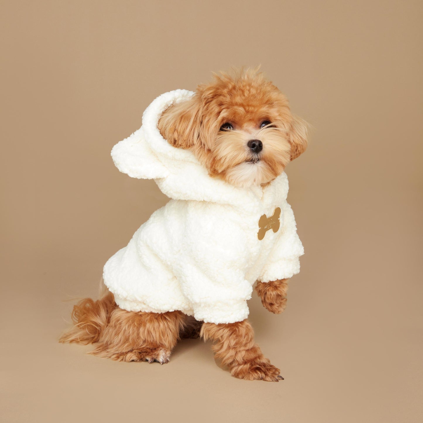 Maltipoo World Teddy Hoodie, White