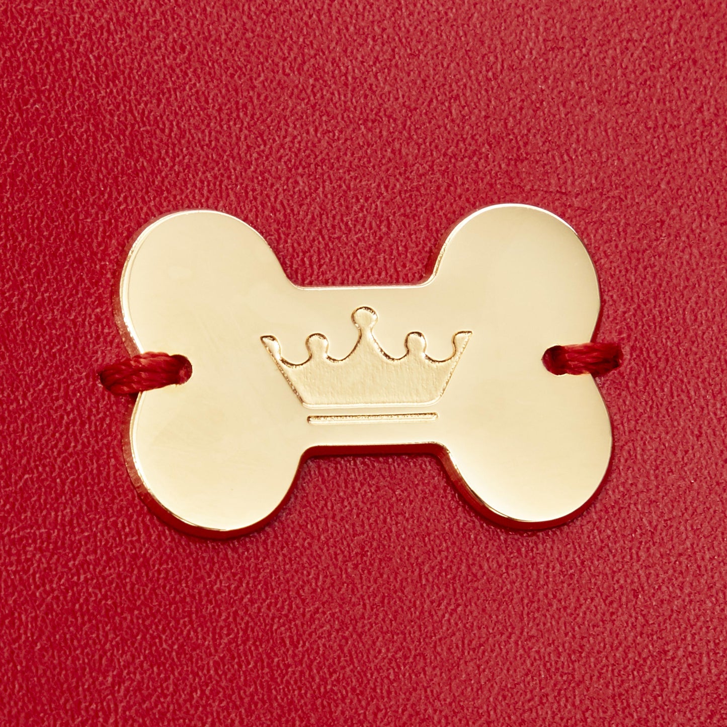 Maltipoo World Passport Cover