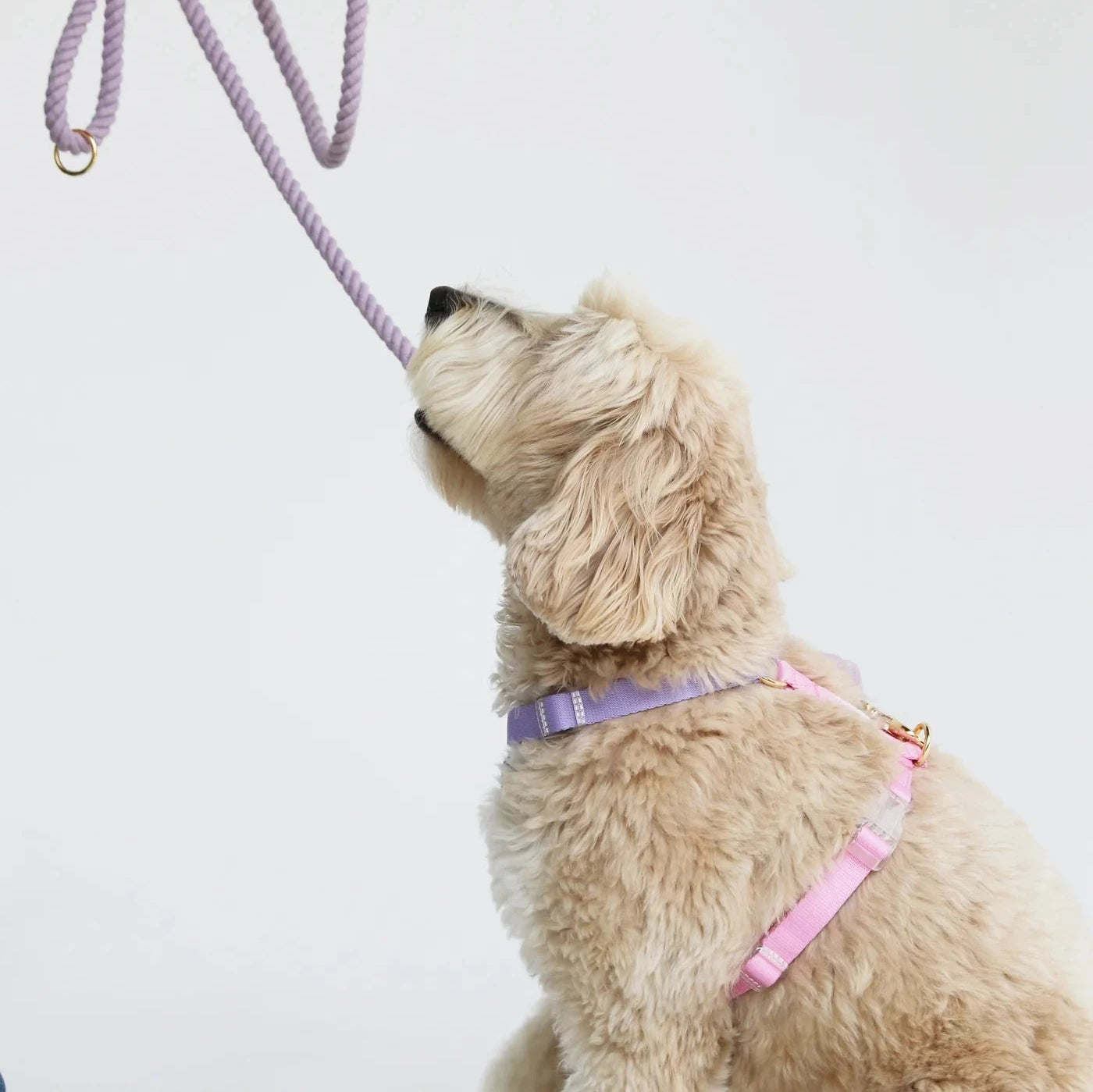 Furlou Dog Harness, Lavender and Pink