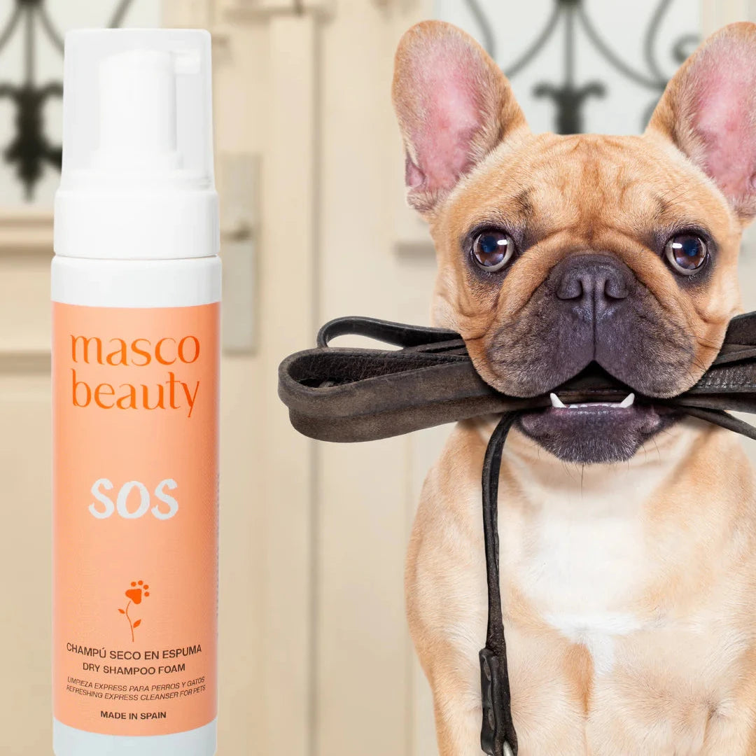 Masco Beauty Dry Foam Shampoo SOS
