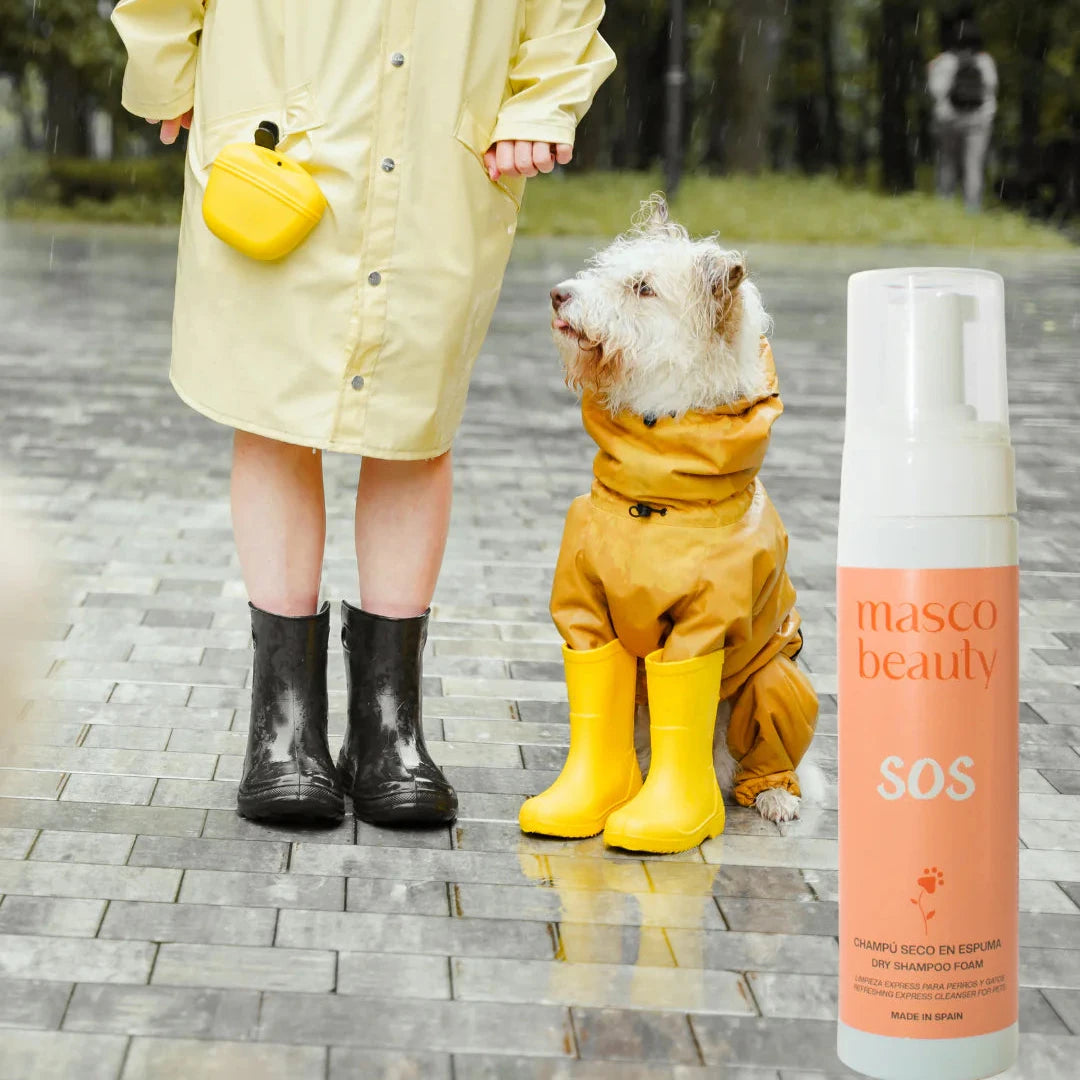 Masco Beauty Dry Foam Shampoo SOS