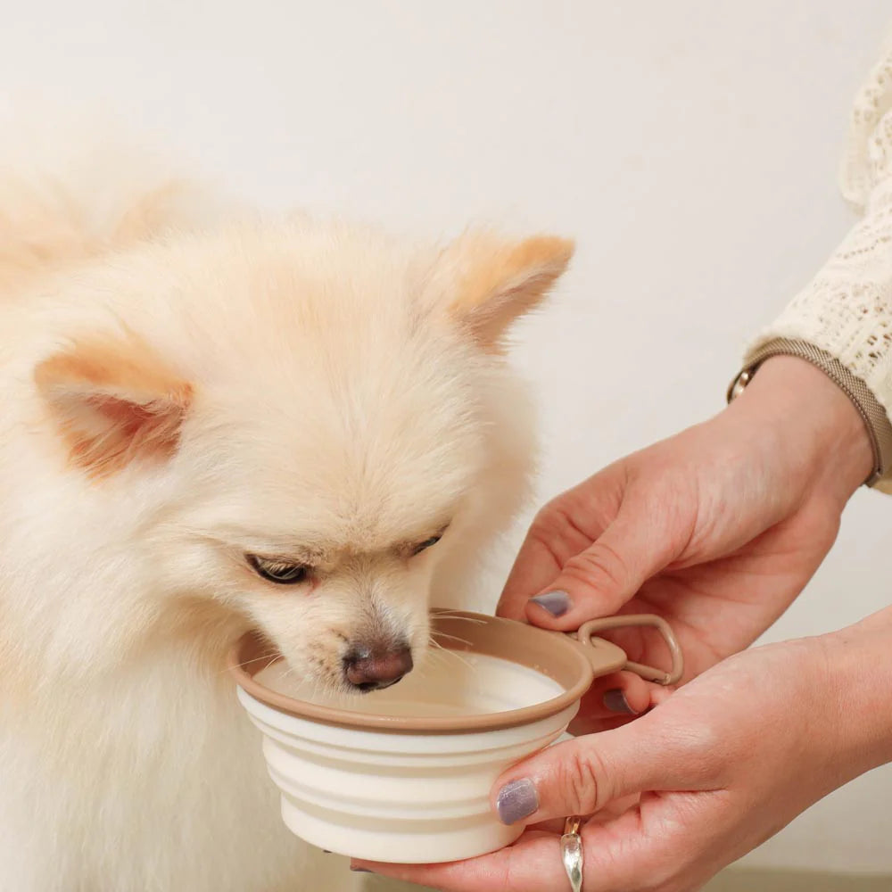 Moncheri Foldable Bicolor Food Bowl with Hook