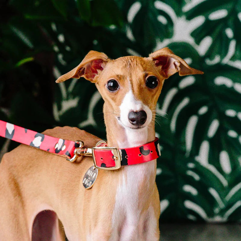 Nice Digs Animal Leather Leash, Red
