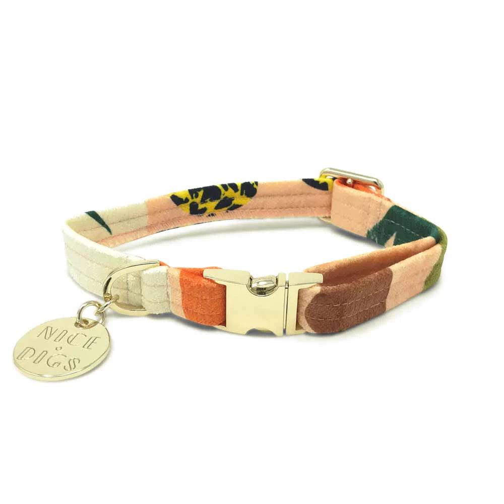 Nice Digs Boulder Canyon Printed Dog Collar, Peach
