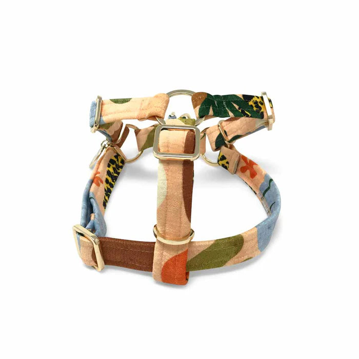Nice Digs Boulder Canyon Printed Non-pull Dog Harness, Peach