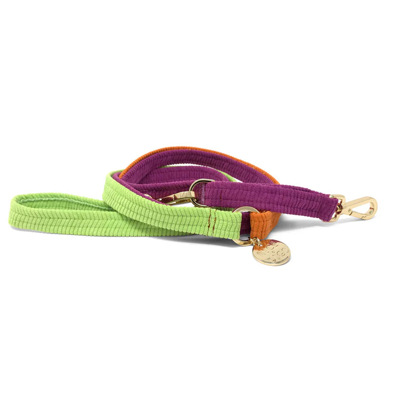 Nice Digs Cord Adjustable Dog Leash, Fruit Salad