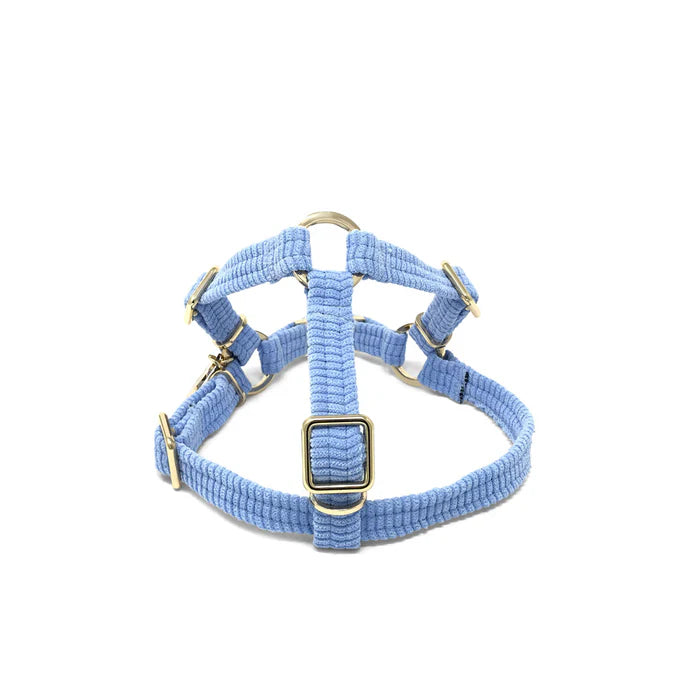 Nice Digs Cord Non-pull Dog Harness, Forget Me Not