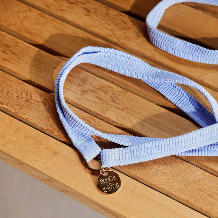 Nice Digs Cord Adjustable Dog Leash, Forget Me Not