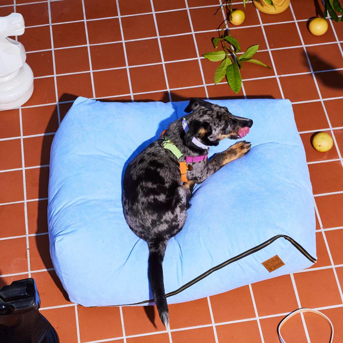 Nice Digs Cord Non-pull Dog Harness, Fruit Salad