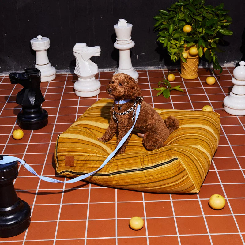 Nice Digs Cord Leash, Forget Me Not