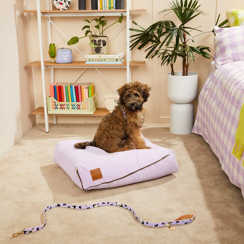 Nice Digs Animal Leather Leash, Lilac