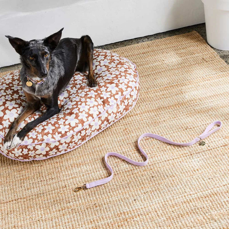 Nice Digs Cord Leash, Lilac