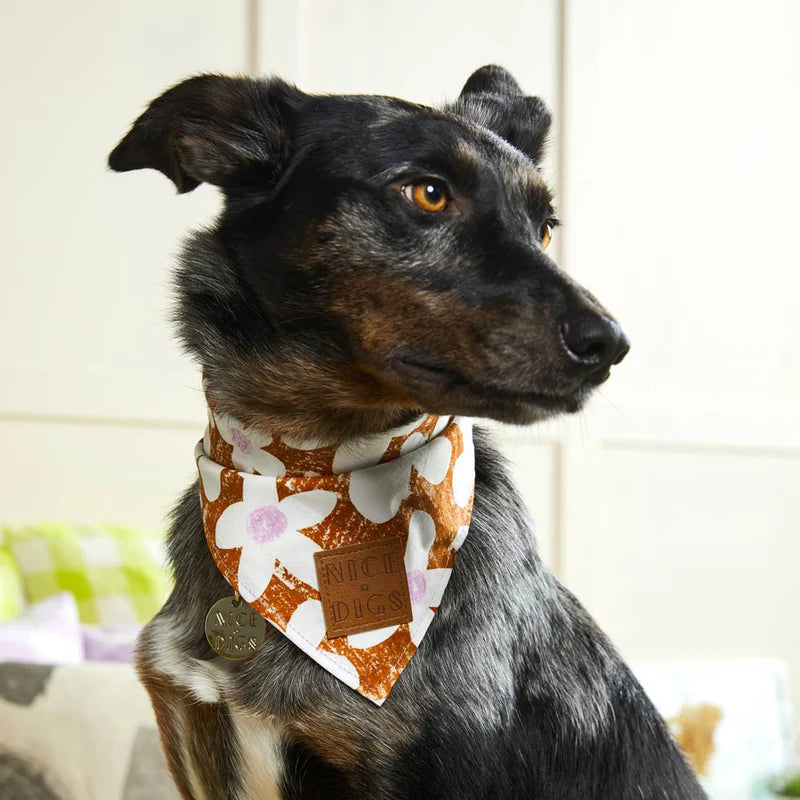 Nice Digs Daisy Bandana, Pecan