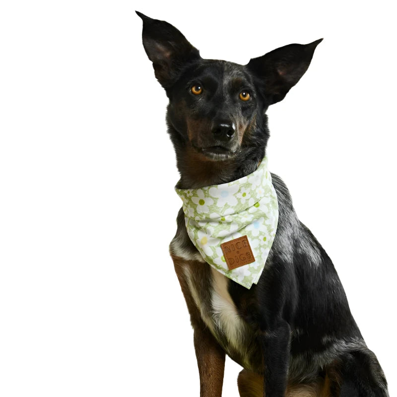 Nice Digs Daisy Bandana, Pistachio