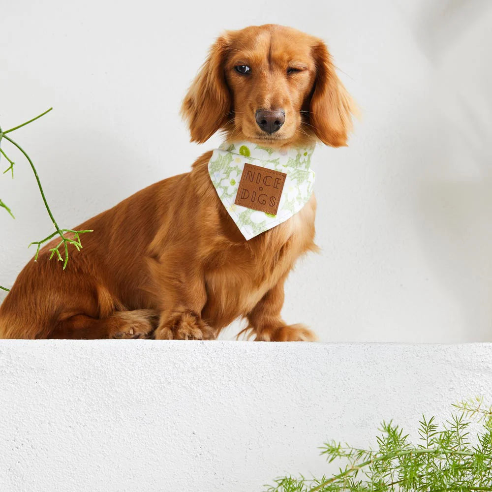 Nice Digs Daisy Bandana, Pistachio