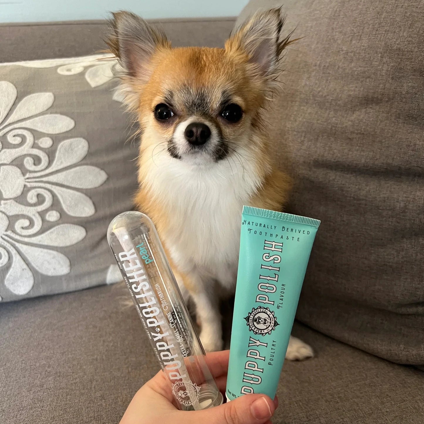 Wag & Bright Supply Puppy Polisher Pearl Eco Toothbrush, XS