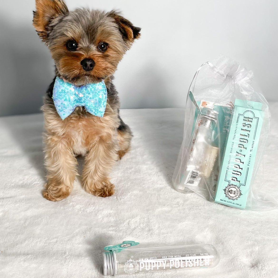 Wag & Bright Supply Puppy Polisher Pearl Eco Toothbrush, XS