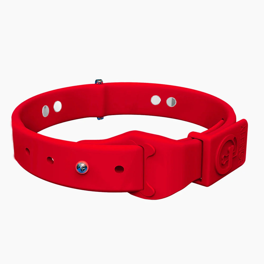 Bonefly Boneflex+ Signature Silver Bones Collar, Red