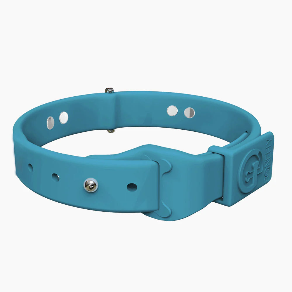 Bonefly Boneflex+ Signature Silver Bones Collar, Peacock