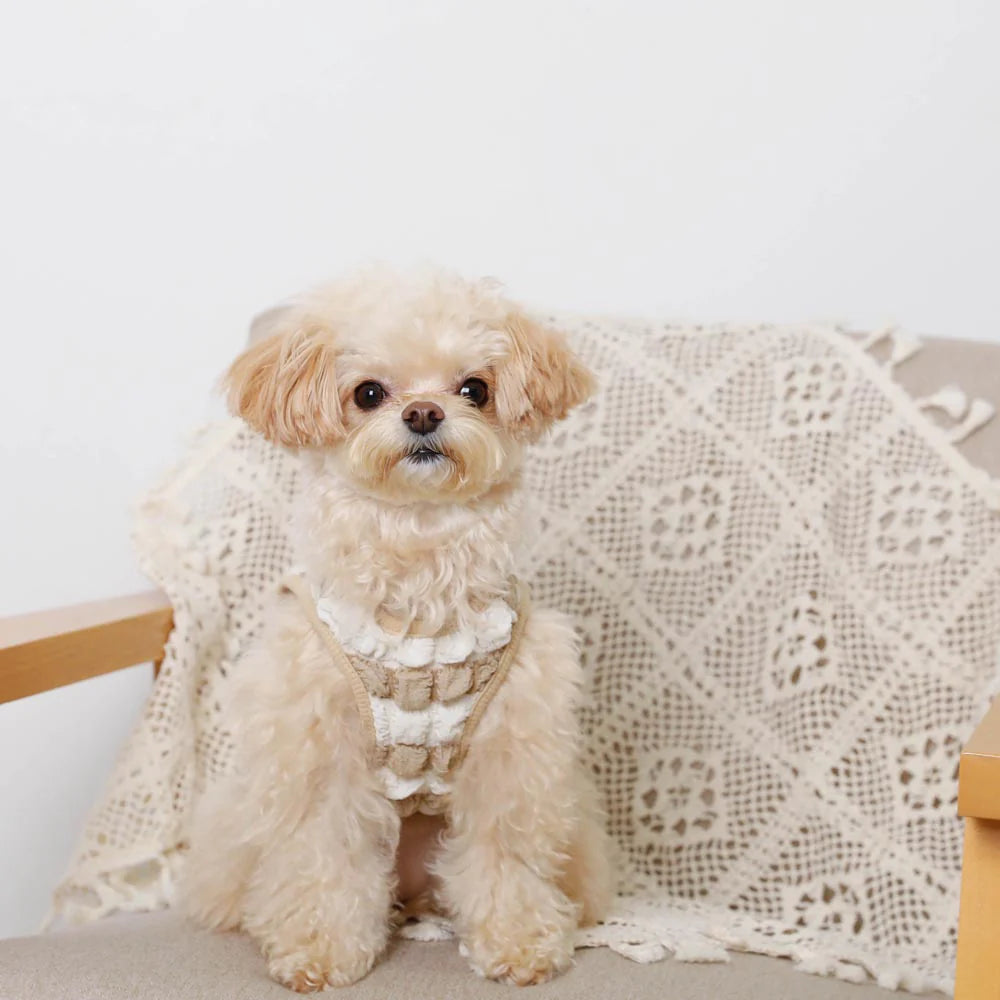 Moncheri Pocopoco Sleeve Tops With A Cool Ribbon, Beige