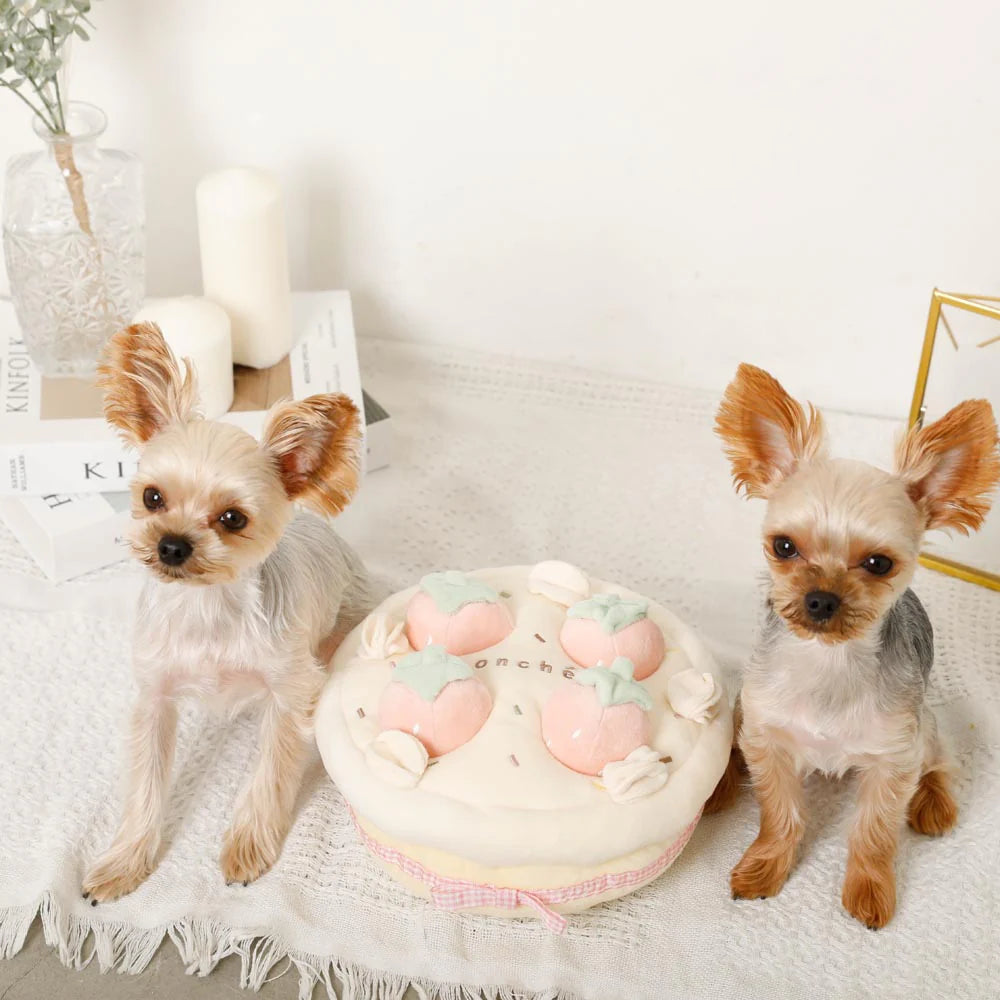 Moncheri Strawberry Whole Cake Nosework Toy