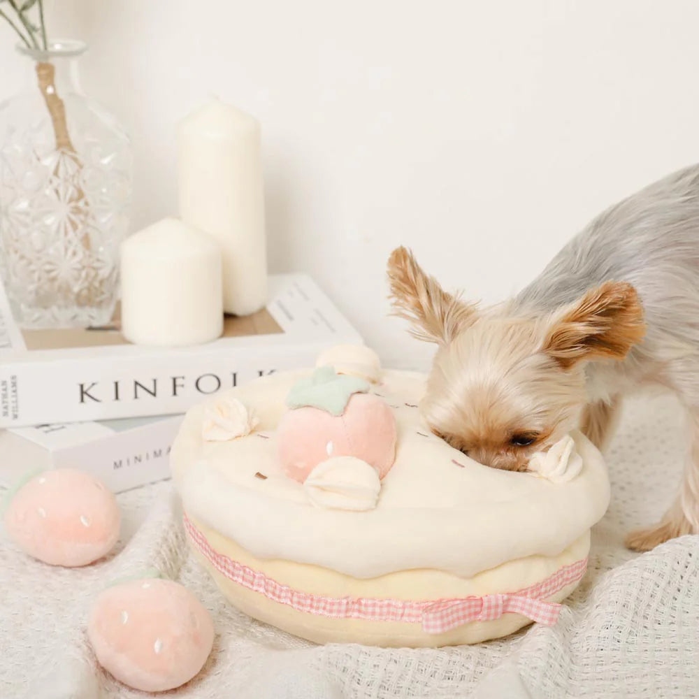 Moncheri Strawberry Whole Cake Nosework Toy