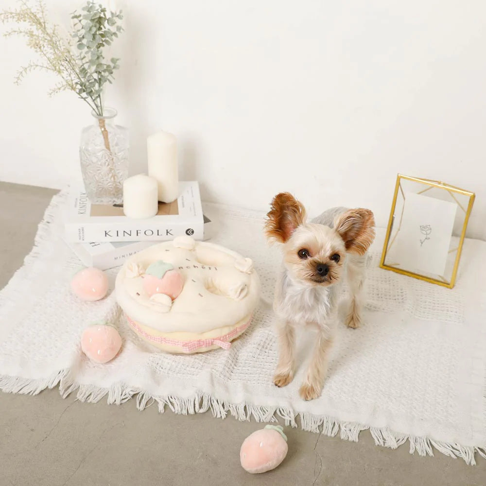 Moncheri Strawberry Whole Cake Nosework Toy