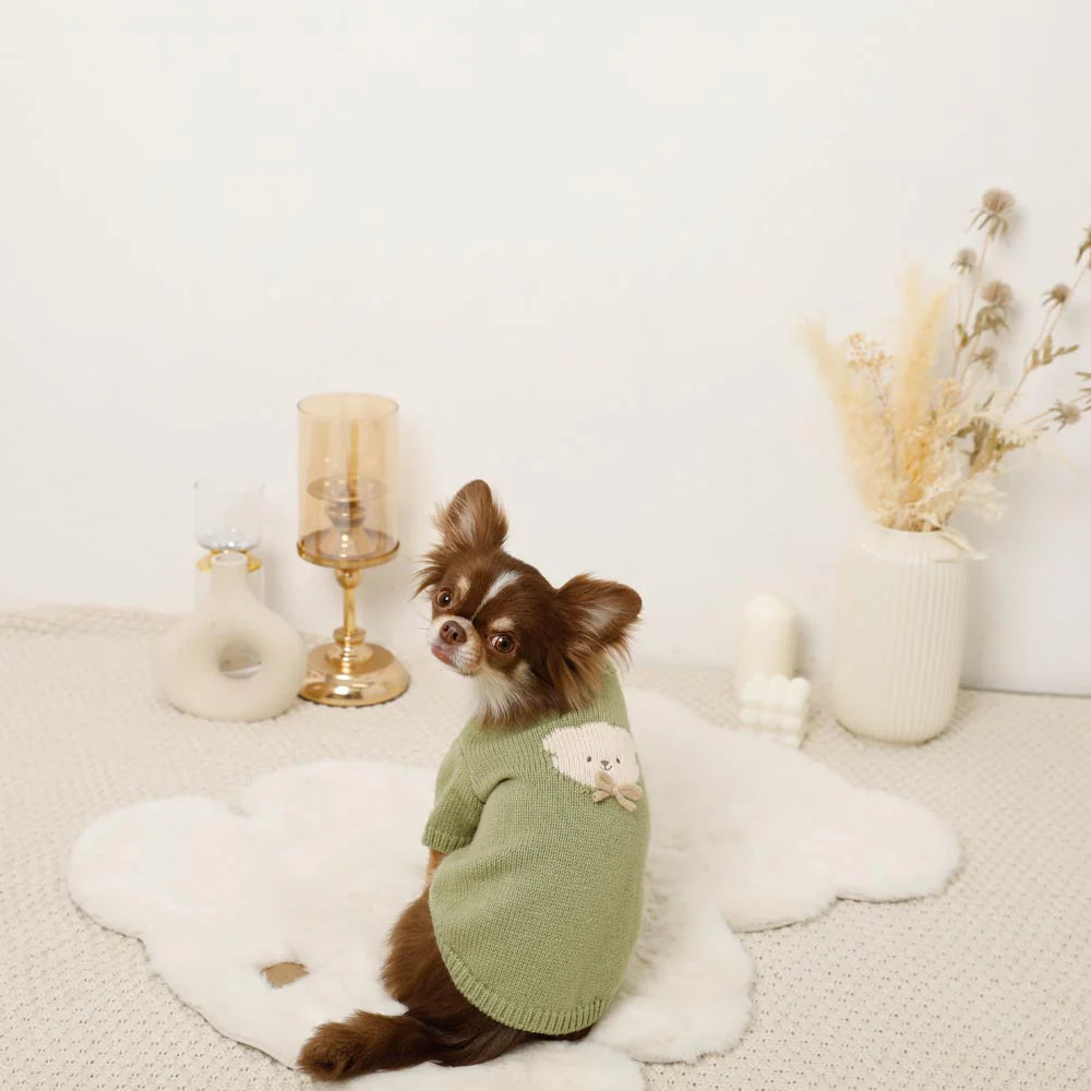 Moncheri Kuma-san Ribbon Knit, Green