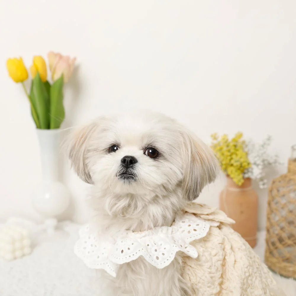 Moncheri Cool Ruffled Ribbon Top, Ivory