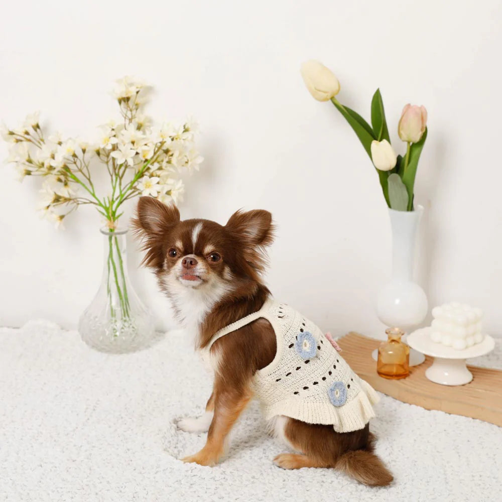 Moncheri Flower Motif Summer Knit Dress, Ivory