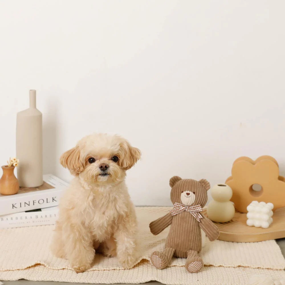 Moncheri Corduroy's Bear