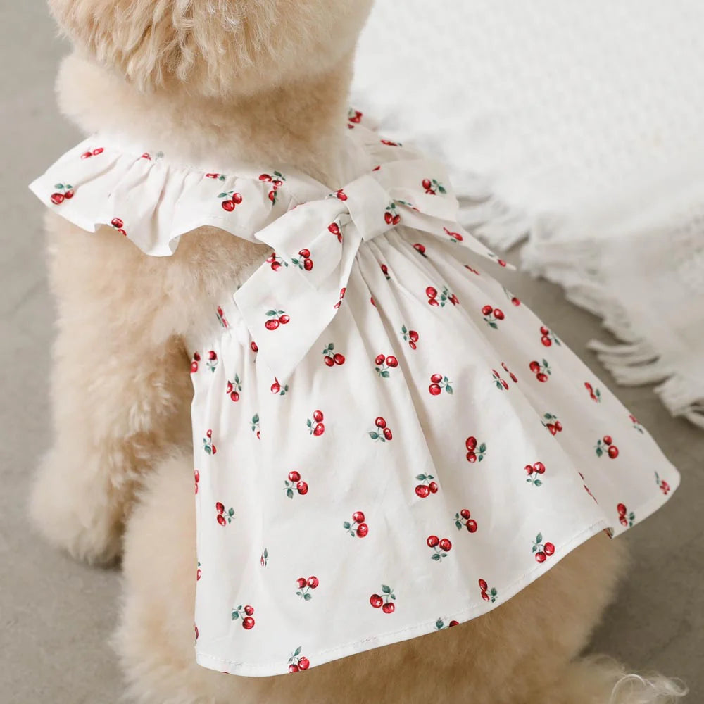 Moncheri Cold Frill Ribbon Cherry Dress