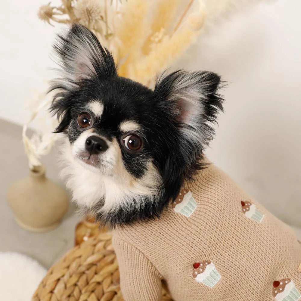 Moncheri Cupcake Embroidery Knit, Beige