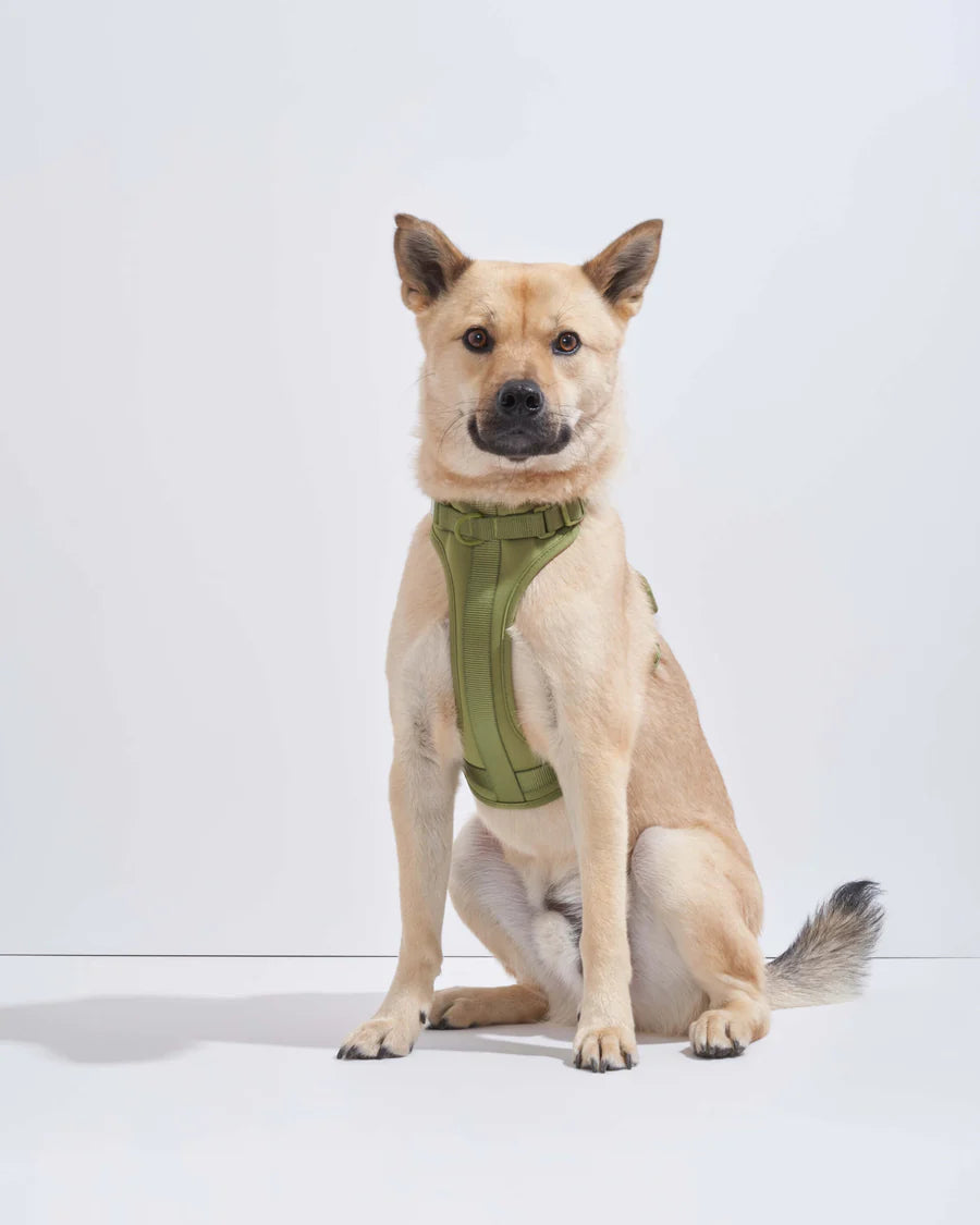 Wild One Harness, Moss