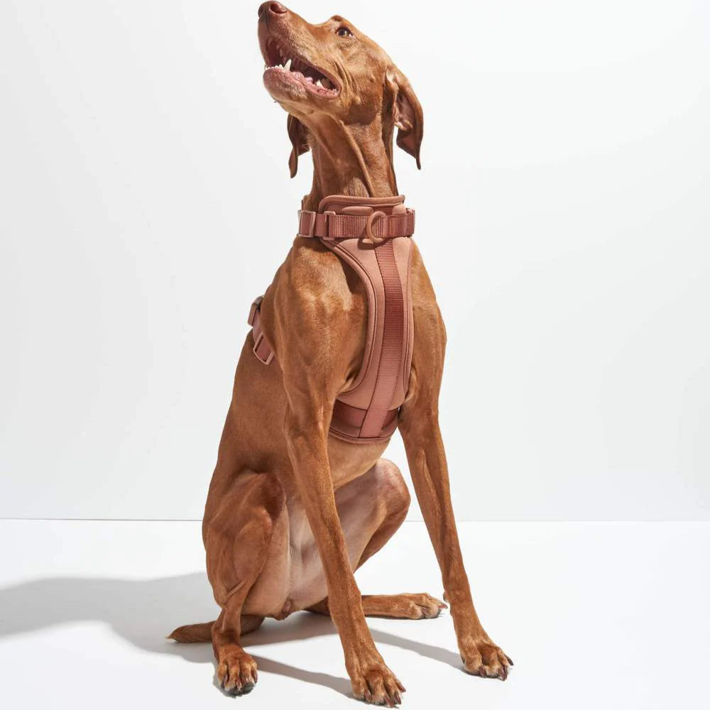 Wild One Harness, Cocoa