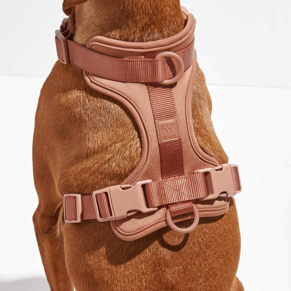 Wild One Harness, Cocoa