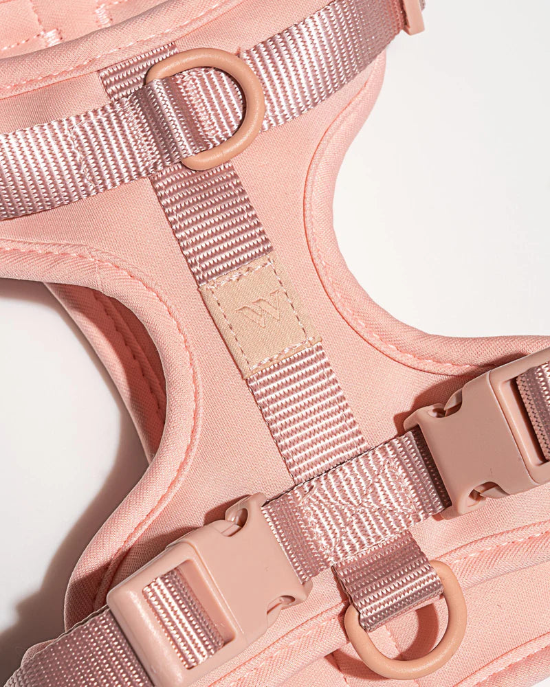 Wild One Harness, Blush