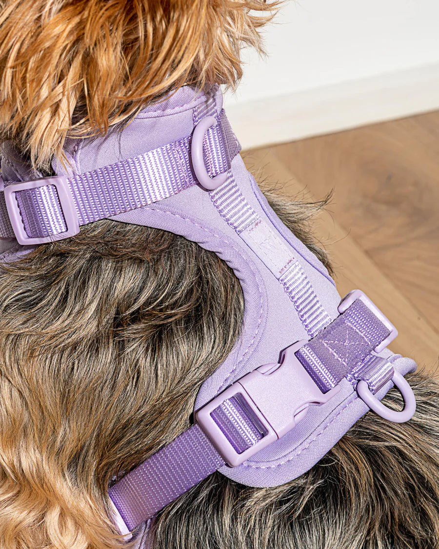 Wild One Harness, Lilac
