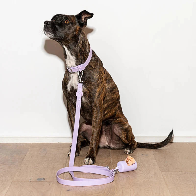 Wild One Leash Small, Lilac